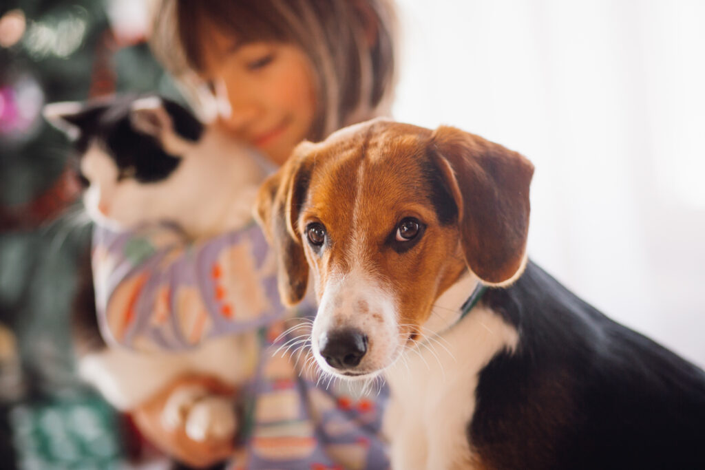 Criança com cachorro e gato representando adoção responsável e humanização dos animais